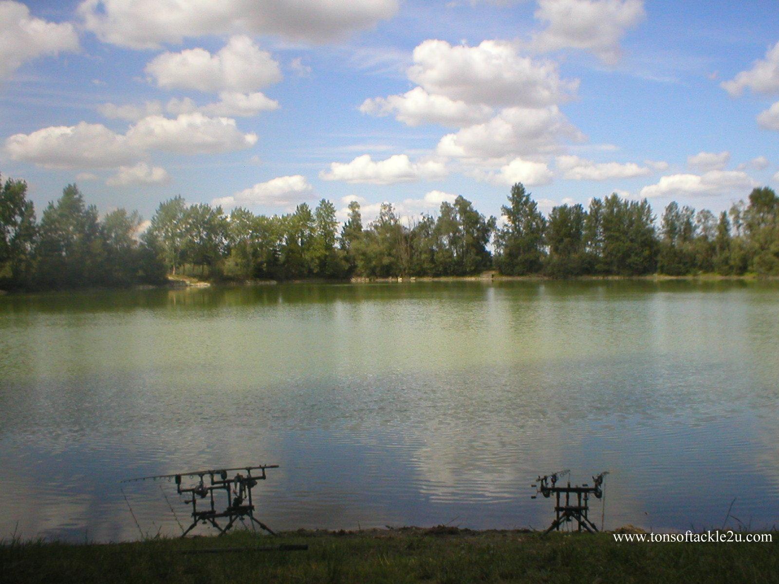 fish :) - lassiscreensaver2.jpg